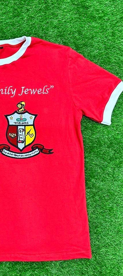 Custom Embroidered Ringer T-Shirt